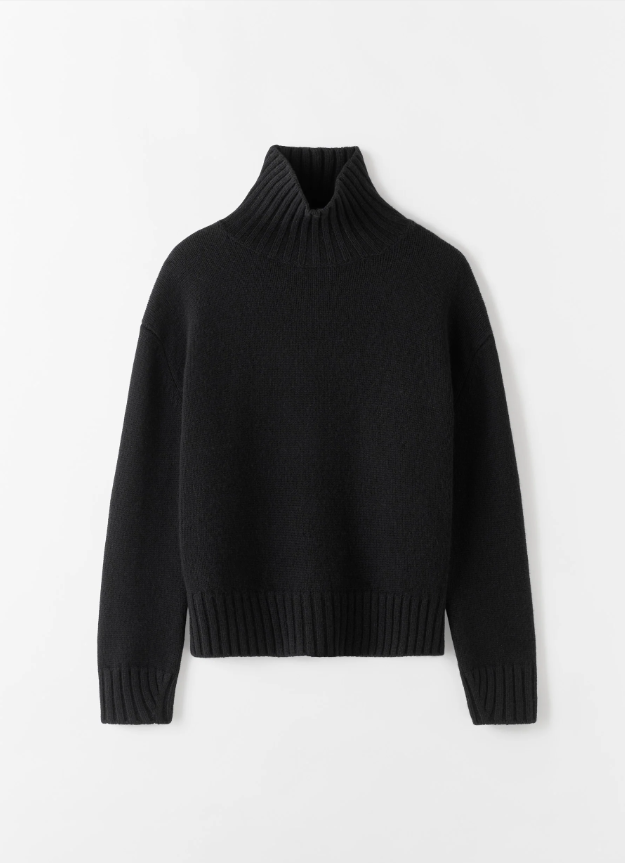 Nola Turtleneck Sweater - black